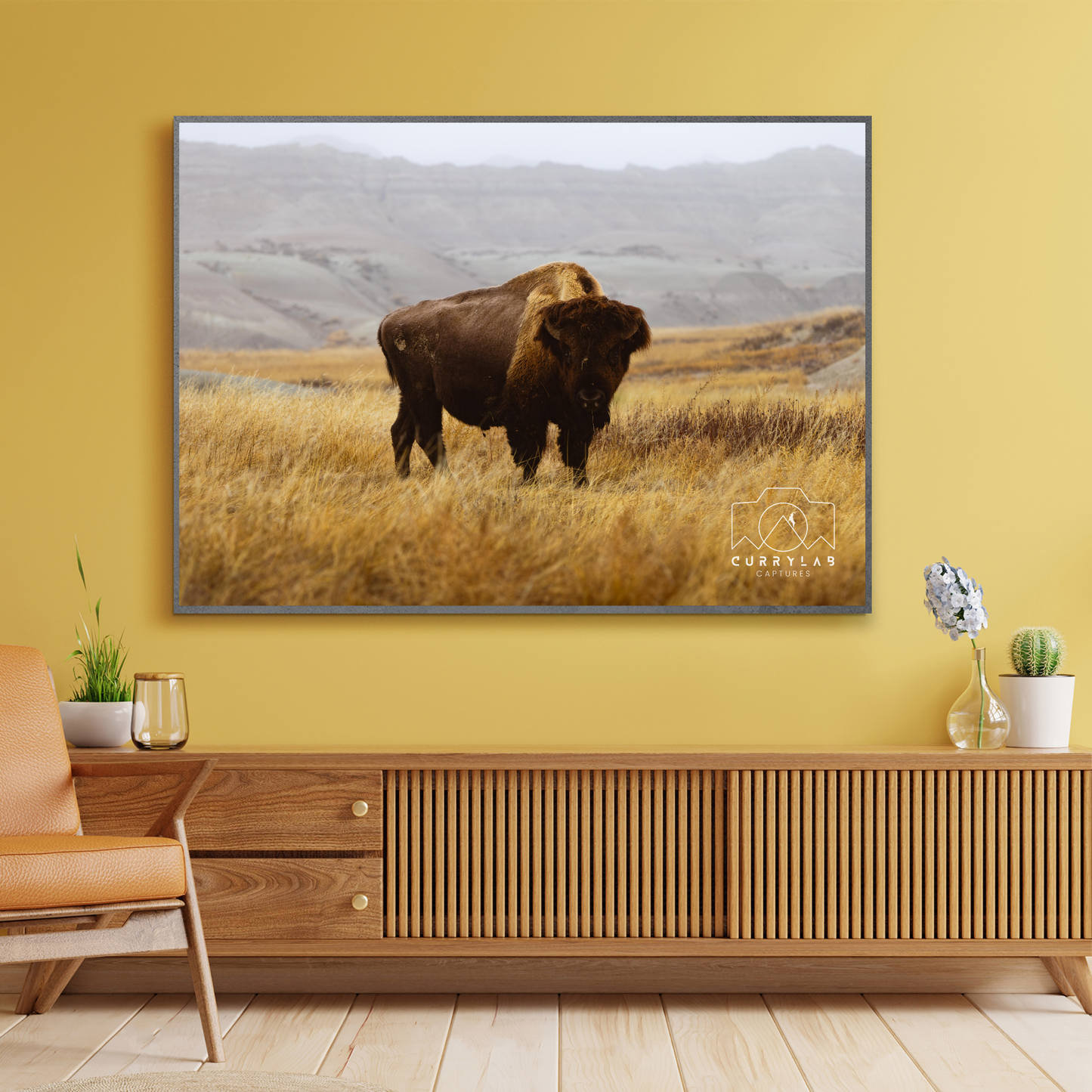 Bison Digital Downloads