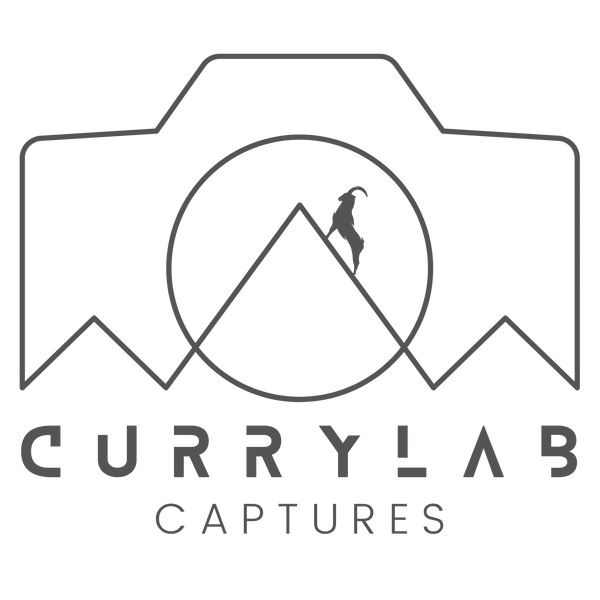 Currylab Captures 